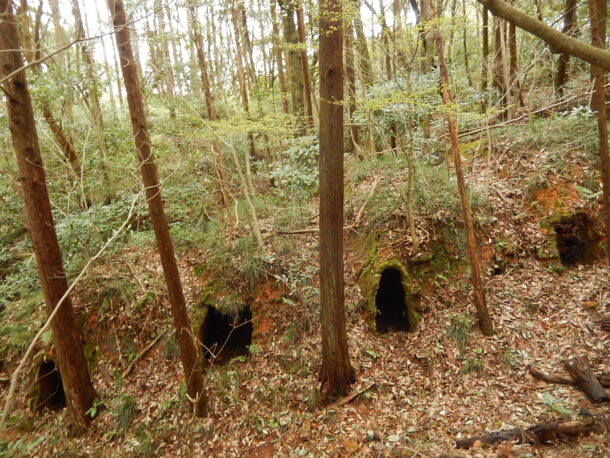 伊万里市に残る連房式登窯（椎ノ峰4号窯）　　※子細は大会セッションで報告